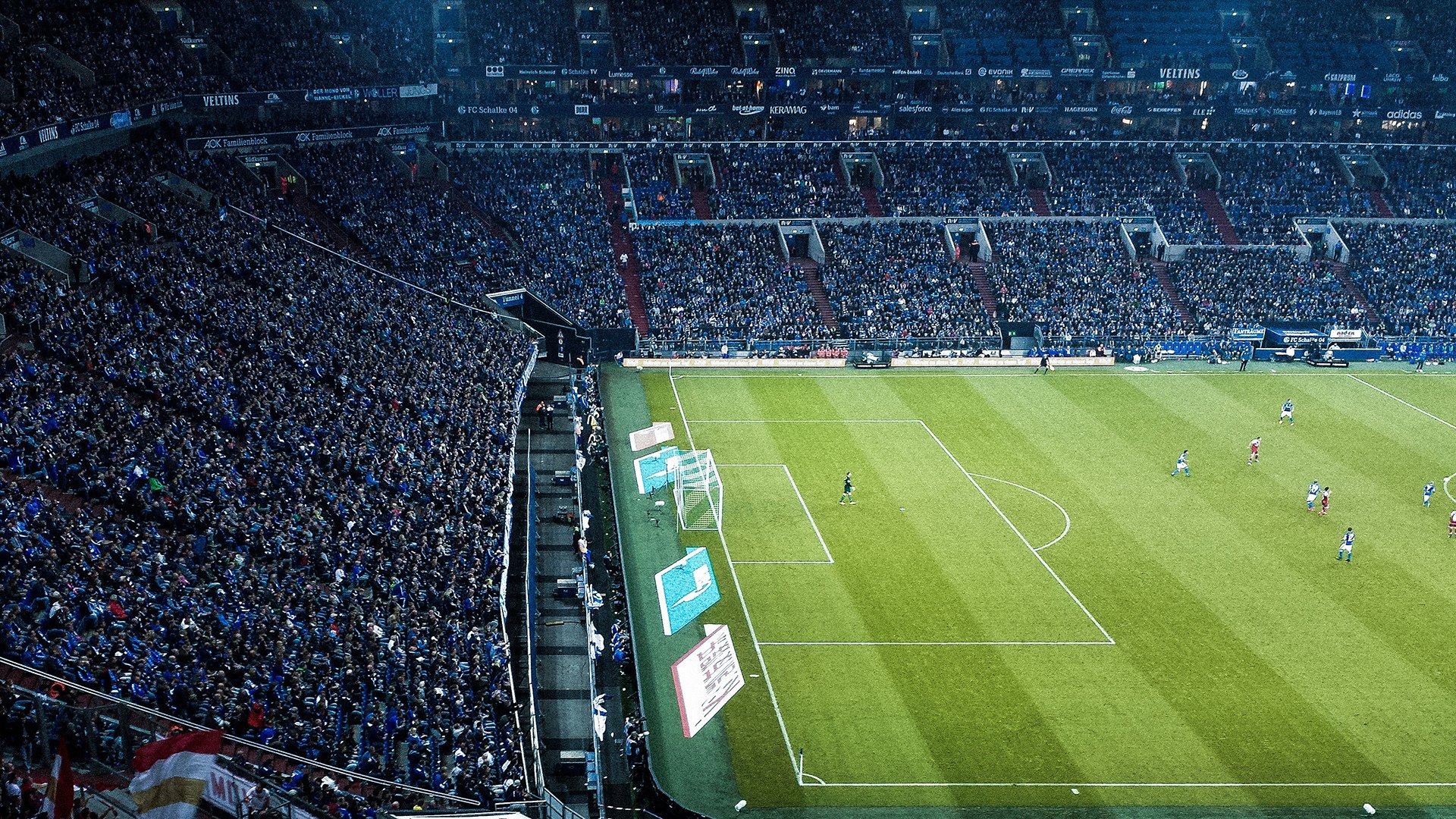 _环天跑：在天空中迎风奔跑_，什么时候给树木施肥